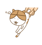 大分ねこのスタンプ（個別スタンプ：4）