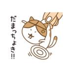 大分ねこのスタンプ（個別スタンプ：8）