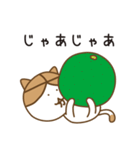 大分ねこのスタンプ（個別スタンプ：9）