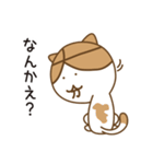 大分ねこのスタンプ（個別スタンプ：11）