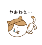 大分ねこのスタンプ（個別スタンプ：16）