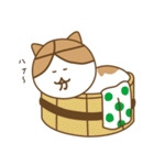 大分ねこのスタンプ（個別スタンプ：21）