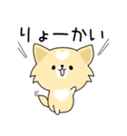 うちのしろくろわんこ。（個別スタンプ：1）