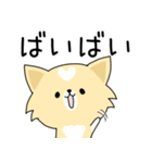 うちのしろくろわんこ。（個別スタンプ：4）