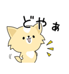 うちのしろくろわんこ。（個別スタンプ：6）