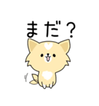うちのしろくろわんこ。（個別スタンプ：7）