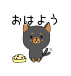 うちのしろくろわんこ。（個別スタンプ：12）