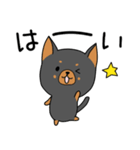 うちのしろくろわんこ。（個別スタンプ：13）