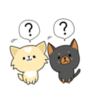 うちのしろくろわんこ。（個別スタンプ：15）