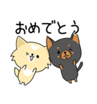 うちのしろくろわんこ。（個別スタンプ：16）