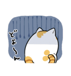 もっちもち！！しろちゃん（ねこ）（個別スタンプ：19）