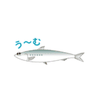 海釣りの魚！釣り好きのための（個別スタンプ：10）