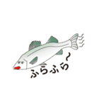 海釣りの魚！釣り好きのための（個別スタンプ：13）