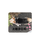 ナチュラル꙳★（個別スタンプ：2）