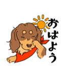 ダックス【めるぼ と ゆめち】2（個別スタンプ：1）
