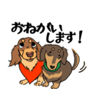 ダックス【めるぼ と ゆめち】2（個別スタンプ：2）