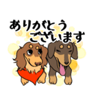 ダックス【めるぼ と ゆめち】2（個別スタンプ：6）