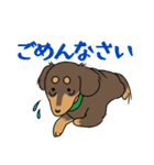 ダックス【めるぼ と ゆめち】2（個別スタンプ：7）