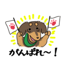 ダックス【めるぼ と ゆめち】2（個別スタンプ：10）