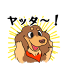 ダックス【めるぼ と ゆめち】2（個別スタンプ：17）
