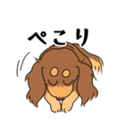 ダックス【めるぼ と ゆめち】2（個別スタンプ：23）