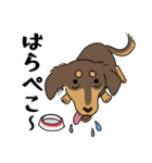ダックス【めるぼ と ゆめち】2（個別スタンプ：24）
