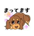 ダックス【めるぼ と ゆめち】2（個別スタンプ：25）