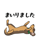 ダックス【めるぼ と ゆめち】2（個別スタンプ：32）