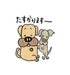ねこさんとたまにいぬ（個別スタンプ：22）