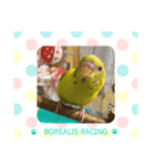 Borealis Racing Stamp ！ 2（個別スタンプ：1）