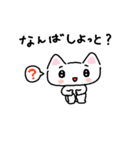 長崎弁のしろねこちゃん（個別スタンプ：22）