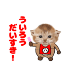 なごやにゃこ八（個別スタンプ：3）