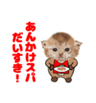 なごやにゃこ八（個別スタンプ：4）