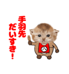 なごやにゃこ八（個別スタンプ：5）