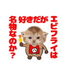 なごやにゃこ八（個別スタンプ：8）