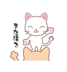 ハッピー白猫（個別スタンプ：21）