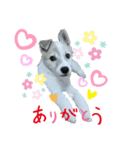 レンくんのごあいさつ（個別スタンプ：7）
