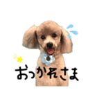 小太郎②（個別スタンプ：4）