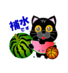 黒猫のバスケットボール（個別スタンプ：34）