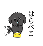 ぼくのすたんぷ by クーパー（個別スタンプ：7）