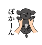 ぼくのすたんぷ by クーパー（個別スタンプ：19）