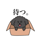 ぼくのすたんぷ by クーパー（個別スタンプ：25）