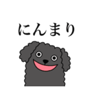 ぼくのすたんぷ by クーパー（個別スタンプ：35）
