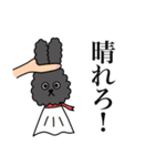 ぼくのすたんぷ by クーパー（個別スタンプ：39）