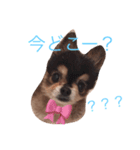 アネラ＆アクアのスタンプです。（個別スタンプ：4）