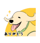 ウェルちゃん（個別スタンプ：3）