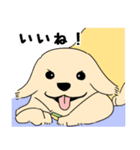 ウェルちゃん（個別スタンプ：8）