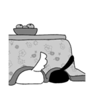 もっと仲良しのいぬとねこ（個別スタンプ：39）