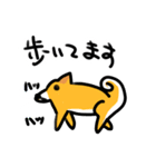 都会家族のやり取り犬スタンプ（個別スタンプ：13）