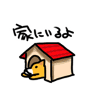 都会家族のやり取り犬スタンプ（個別スタンプ：15）